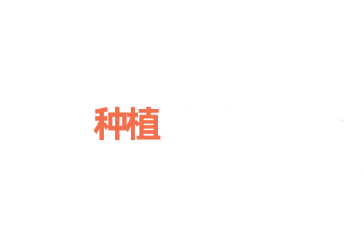 种植