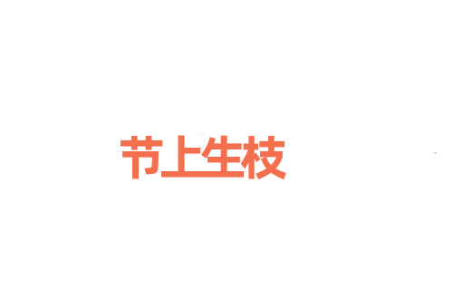 节上生枝