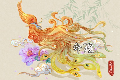 2003年02月21日八字命理查询 五行缺什么