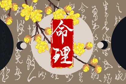 2003年01月04日生辰八字查询 此日生的孩子性格特点