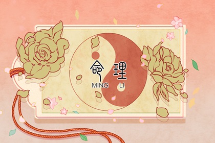 2003年02月22日五行八字命运查询 这天五行缺什么