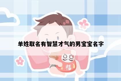 单姓取名有智慧才气的男宝宝名字