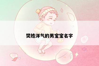 樊姓洋气的男宝宝名字