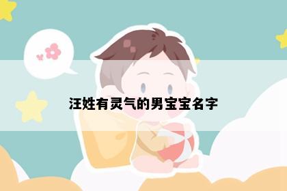 汪姓有灵气的男宝宝名字