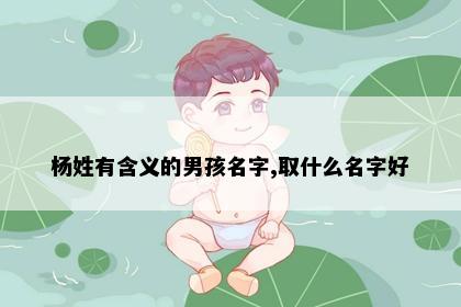 杨姓有含义的男孩名字,取什么名字好