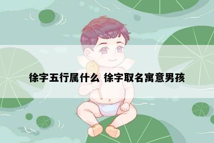 徐字五行属什么 徐字取名寓意男孩