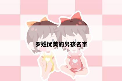 罗姓优美的男孩名字